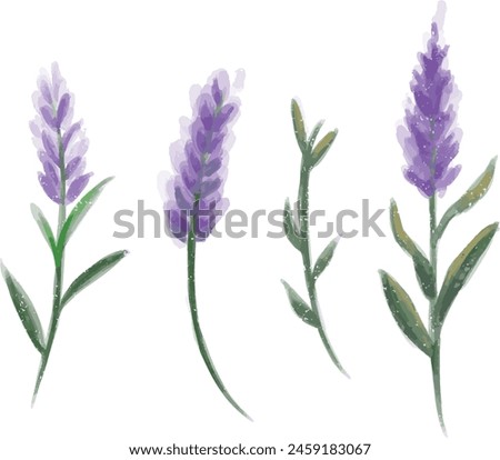 Set of floral elements watercolor drawn flower and blue blueish lavender wedding concept flowers poster vector arrangements for greeting card or invitation design or clip art 