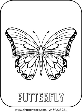 Butterfly coloring page for kids. Vector black and white hand drawn illustration for coloring book. Butterfly line art doodle.