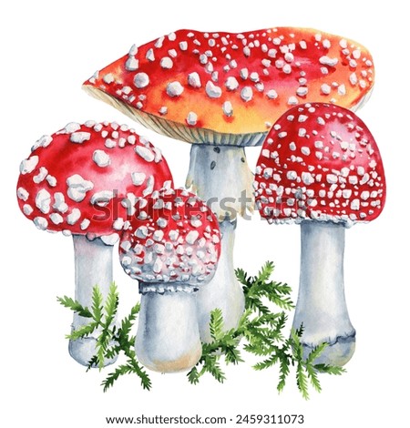 Mushrooms, Hand drawn realistic fly agaric watercolor painting isolated, beautiful forest composition for design, poster
