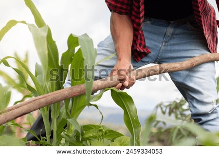 lifestyle: close-up of farmer's hands using hoe