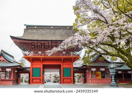 Cherry blossoms blooming in Fujisan Hongu Sengen Taisha Shinto Shrine at Fujinomiya famous shrine and landmark Shizuoka Japan Royalty-Free Stock Photo #2459335149