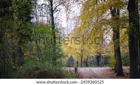 Discover the serene allure of Haagse Bosch in The Hague. Amidst ancient trees and tranquil ponds, find solace in nature's embrace. Let whispers of leaves and birdsong guide your soul to tranquility. Royalty-Free Stock Photo #2459360125