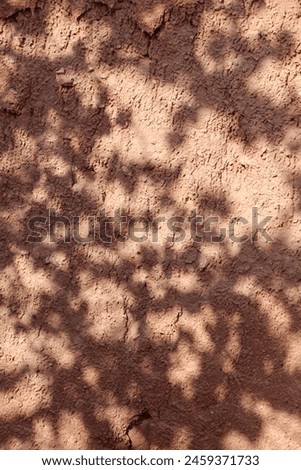 A beautiful picture of the shadow