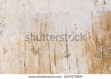 The texture of an old wooden surface covered with white paint