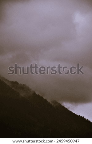 foggy mountains - brown -like painted picture
