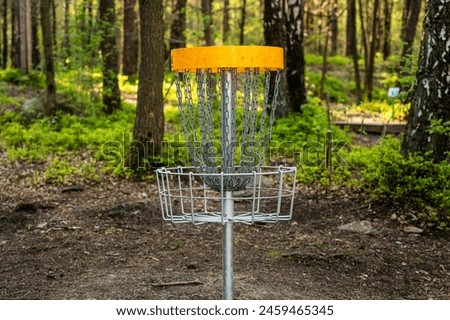 Disc golf target in a forest