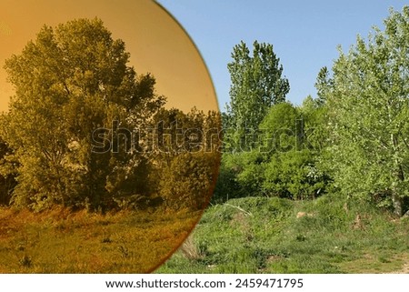 Spring lakeside shore landscape with broadleaf trees as seen normally and through modern orange coloured special contras sport eyeglass lenses.
