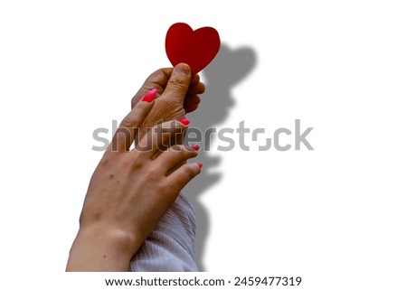The hand of a guy with a model of a human heart and the hand of a girl striving for a model of a heart on the hand of a boy. A symbol for the pursuit of love. White background.