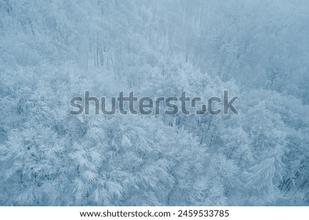 View of Snow monster in Winter day at Mount Zao ski resort, Yamagata prefecture, Japan. powder snow covered in frosty weather. Travel, Adventure and Vacation background Royalty-Free Stock Photo #2459533785