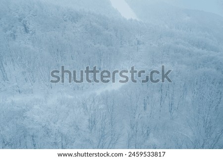View of Snow monster in Winter day at Mount Zao ski resort, Yamagata prefecture, Japan. powder snow covered in frosty weather. Travel, Adventure and Vacation background Royalty-Free Stock Photo #2459533817