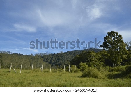 Landscape photography of a green field in front of hills
