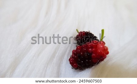 fresh blueberries are purplish red in color Royalty-Free Stock Photo #2459607503