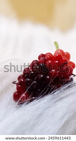 photo of very fresh purplish red young blueberries Royalty-Free Stock Photo #2459611443