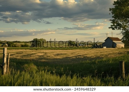Rural sunny landscape beautiful nature photography with grass and trees