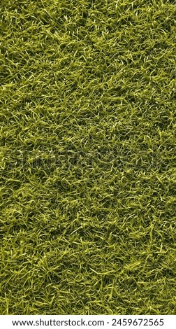 synthetic green grass carpet in tropical country afternoon size 16:9 IG story size Royalty-Free Stock Photo #2459672565