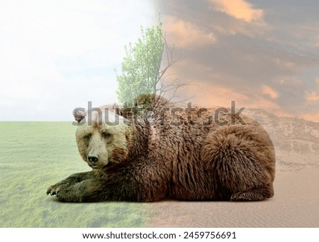 Double exposure of bear and natural scenery depicting environmental pollution Royalty-Free Stock Photo #2459756691
