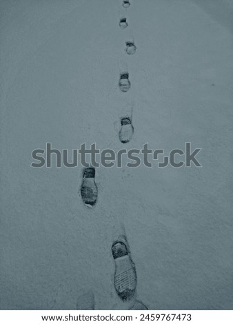 A topdown view of snowcovered ground, with clear footprints leading away into the distance.