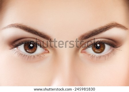 Close up image of female brown eyes Royalty-Free Stock Photo #245981830