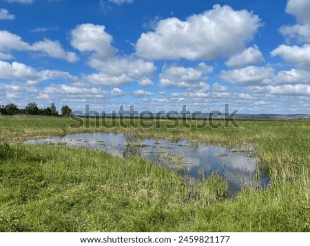 There are a lot of clouds in the sky in Neusiedl am See at the Neusiedler lake. Some clouds are reflected in a pond of the wetlands. Royalty-Free Stock Photo #2459821177