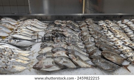 various kinds of fish stored in ice, ready to sell. picture taken from modern market in South Tangerang 