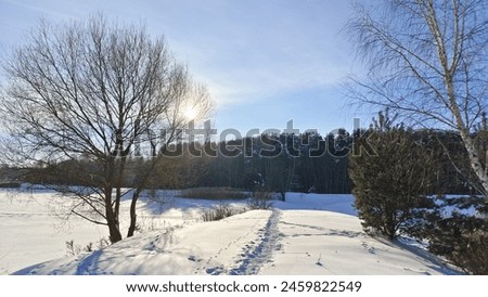 In winter, the lake is covered with ice and snow on top. Willows, pines and birches grow on the shore, a coniferous forest grows farther away and there is a path in the snowdrifts Sunny frosty weather Royalty-Free Stock Photo #2459822549