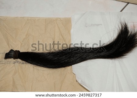 A braid of long  hair had been cut for hair donation. The hair length estimated 35cm put it on brown and white tissue for photoshoot.