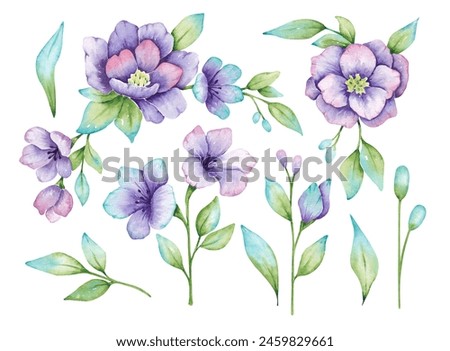 Floral set hand drawn by watercolor.  Purple flowers clip art. Colorful summer floral prints. Fresh sprin florals for designing cards, invitations, logo, banners and so on