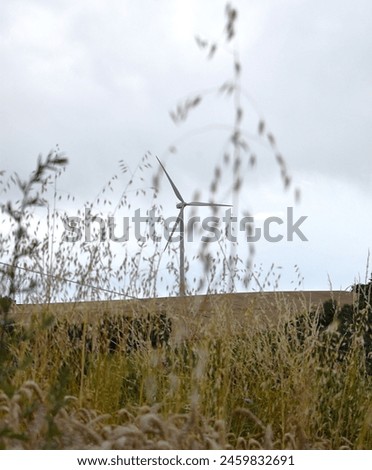 Rural landscape behind grass, with a wind turbine erected in the middle of the fields. Royalty-Free Stock Photo #2459832691