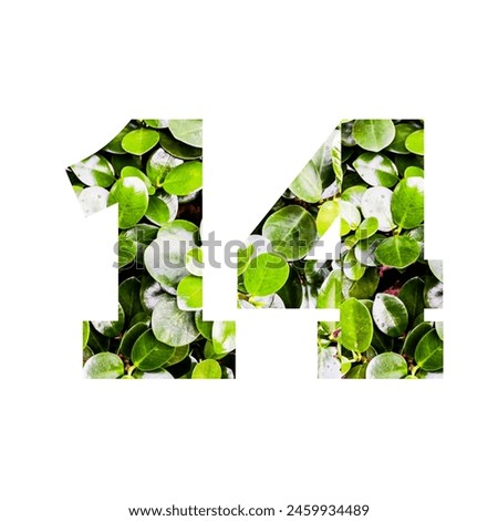 Design number 14 with leaf texture on white background