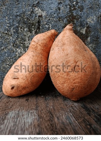 two yellow sweet potatoes leaning in front of mossy walls Royalty-Free Stock Photo #2460068573