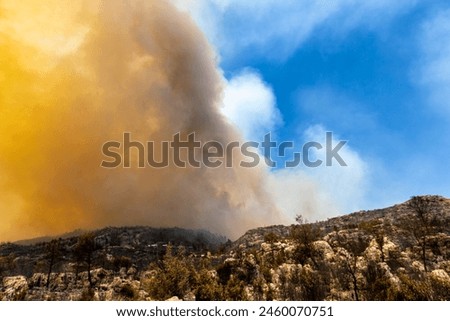 Forest Fire: The Greatest Disaster of the Century. Nature and Animals Lost in Flames. Firefighting efforts. Air and land helicopters, firefighting planes and fire trucks. global disaster