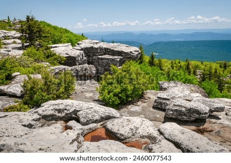 Hazy Overlook of the Mountains at Bear Rocks Preserve, Nature preserve in West Virginia, USA