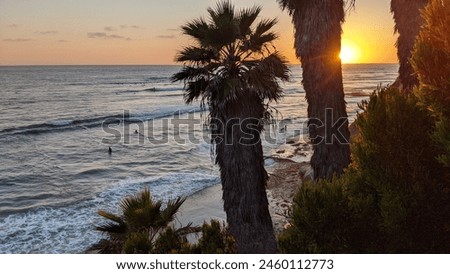 Southern California - beaches, sunsets, surfers, tide pools, palms trees and ocean waves at Swamis Reef Surf Park in Encinitas California.