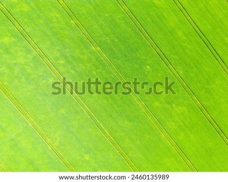 An aerial view of vibrant green fields showcasing the harmony between nature and human-made linear patterns. The image captures the lush greenery in an undefined location, reflecting the beauty of Royalty-Free Stock Photo #2460135989