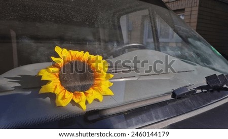 Rustic Charm: Picture of a Caravan with a Weathered, Dirty Window Revealing a Beautiful Sunflower Decoration, Evoking Nostalgia and Tranquility in the Countryside Setting