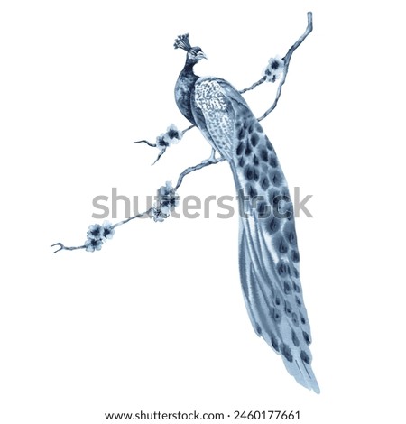 Peacock bird on blossom tree branch painting. Blue indigo monochrome composition. Hand drawn watercolor illustration isolated on white background. Stylish clip art for prints, patterns and wallpapers