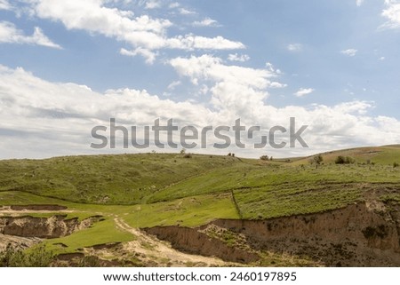 A hillside with a few trees and a few cows. The sky is blue and there are some clouds