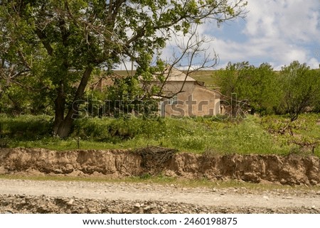 A house is in the middle of a field with a tree in front of it. The house is small and has a white roof. The field is lush and green, and there are some trees in the background