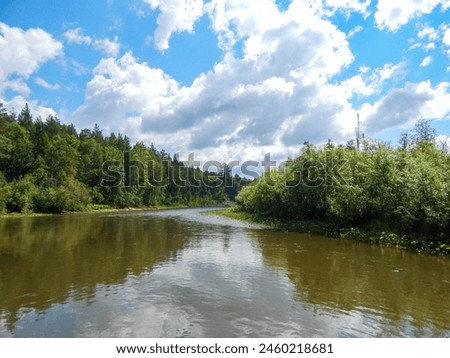 Landscape with river and blue sky. Green landscape in the summer
