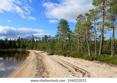 Sunny day on the North lake. Pine forest. Royalty-Free Stock Photo #246022033