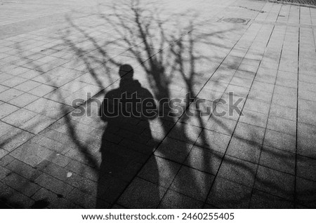 A reflection of one chilly day in snowy April in Helsinki. It's supposed to be spring, yet no blossoms. In the picture are shadows of myself with a tree.