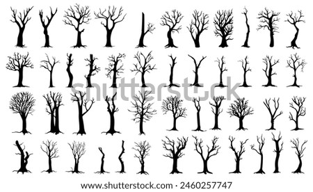 Bare trees silhouettes set. Vector illustration outline forest and trunk wood collection. Art shape drawing and element stem clip art. Dead tree abstract isolated