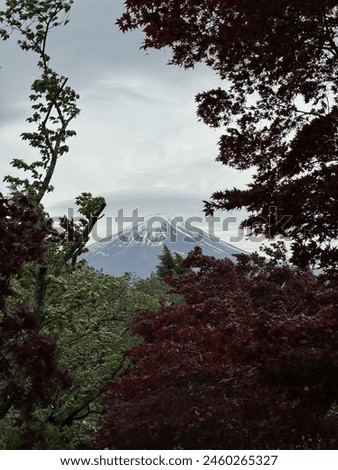 An iconic view of Japan “Mt.FUJISAN” Royalty-Free Stock Photo #2460265327