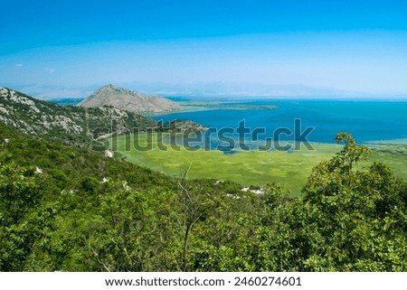 Scenic Viewpoint. Beautiful summer landscape of Skadar Lake with green and blue water, mountains hills. Clear sky. Montenegro. Travel concept. Royalty-Free Stock Photo #2460274601
