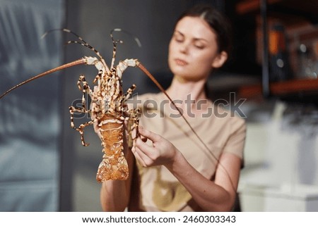 Woman holding lobster in kitchen for seafood cooking inspiration and culinary preparation concept Royalty-Free Stock Photo #2460303343