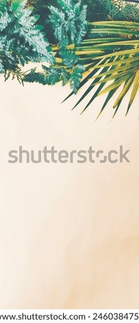 palm and pine leaves of leaves frame design picture