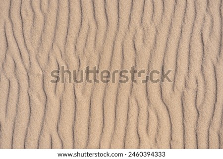 Clean golden sand windblown into curved ripples, as a tropical nature beach background
