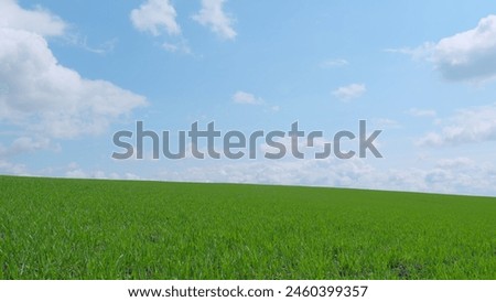 Agriculuture farm in countryside. Beautiful fresh green grass. Winter field. Pan. Royalty-Free Stock Photo #2460399357