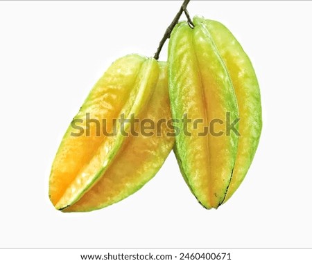 Close up of two sweet star fruit in a sprig with a ripe greenish yellow color, and a white background 