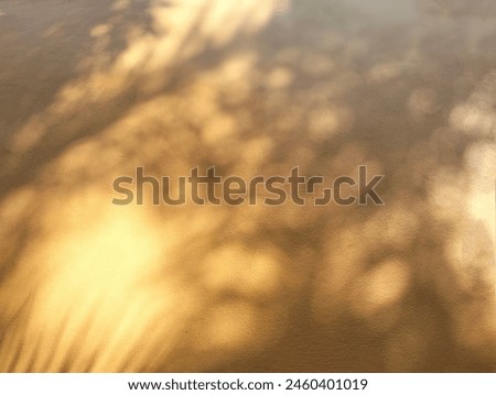 In the picture, the light and shadow of trees and coconut leaves shine down on the orange walls of the house in various shapes. There are orange, brown, and gray lights, colorful and beautiful in natu